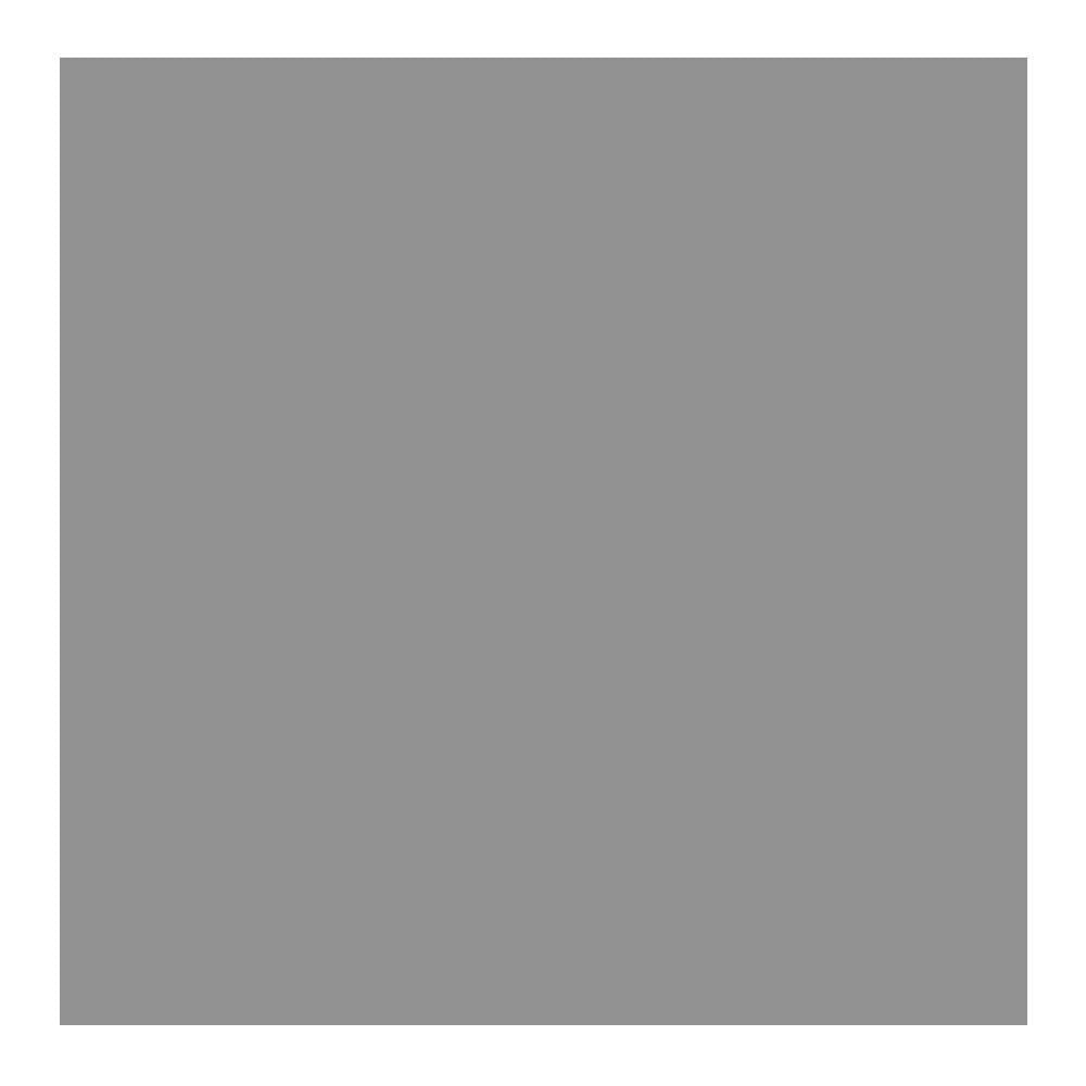 Savage Widetone Seamless Background Paper (#56 Fashion Gray, 53-Inch x 36-Feet)