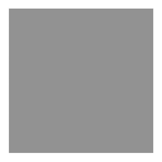 Savage Widetone Seamless Background Paper (#56 Fashion Gray, 53-Inch x 36-Feet)