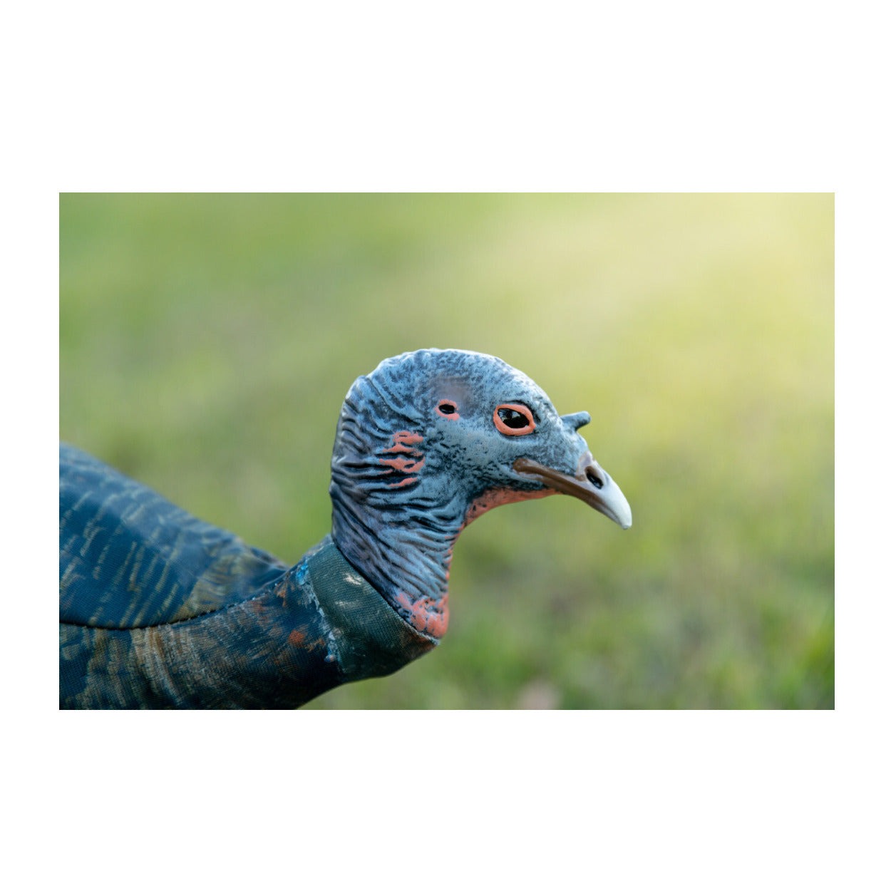 Montana Decoy Miss Purr-Fect XD3 Realistic Turkey Decoy