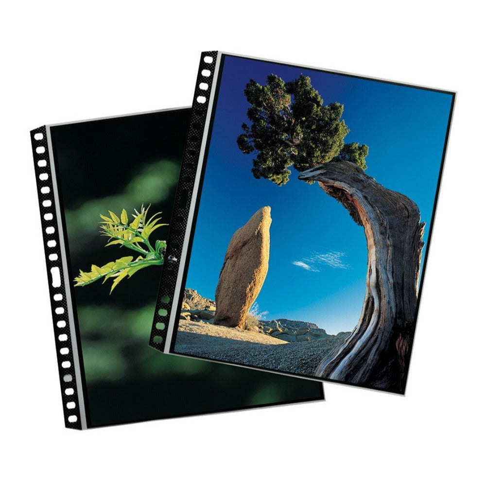 Itoya Art Profolio 14x17-in PolyGlass Page Refills for Binders (10 Sheets)