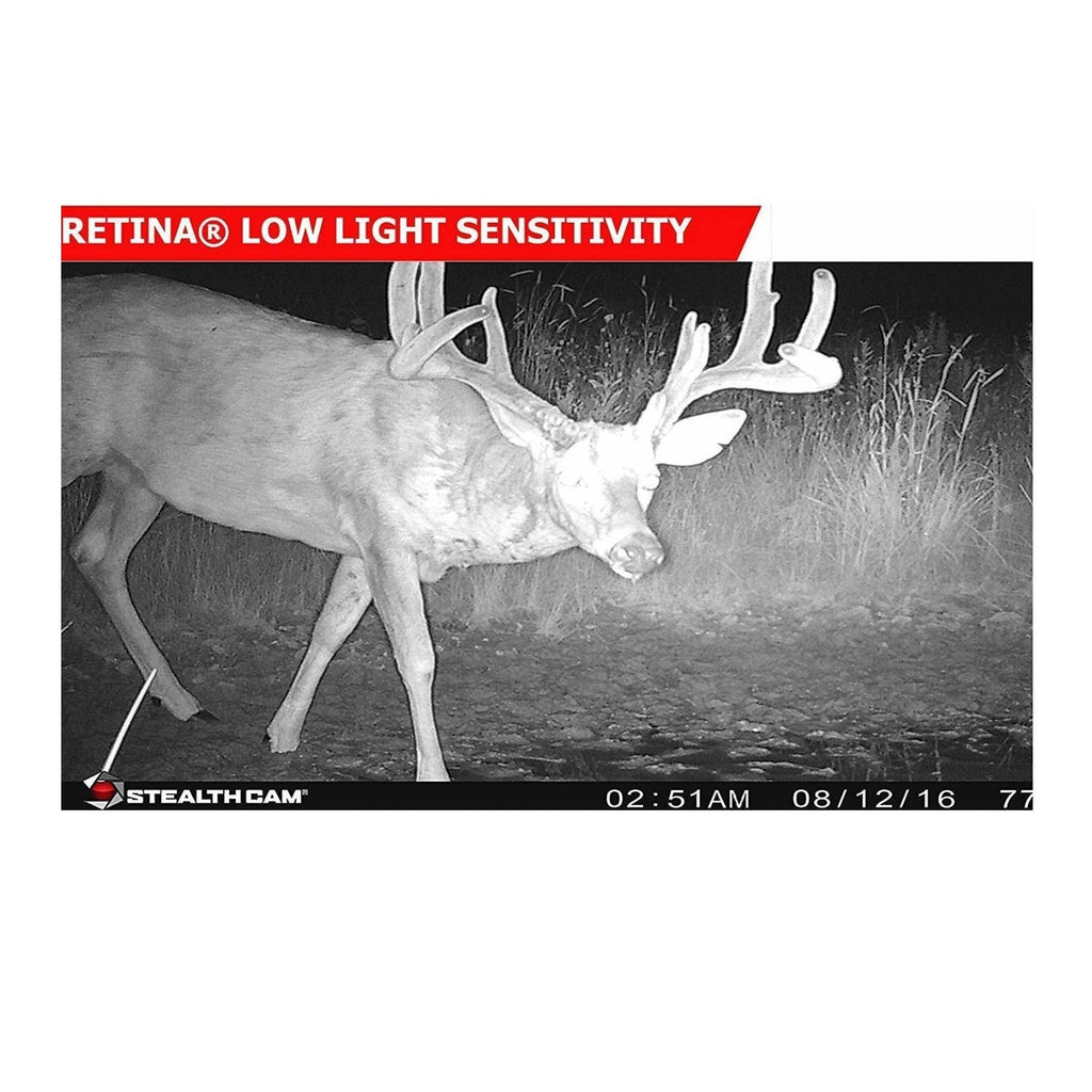 Stealth Cam 2022 G42NG 32MP No Glow Trail Cameras, Kryptek, & Cards Kit (6-Pack)