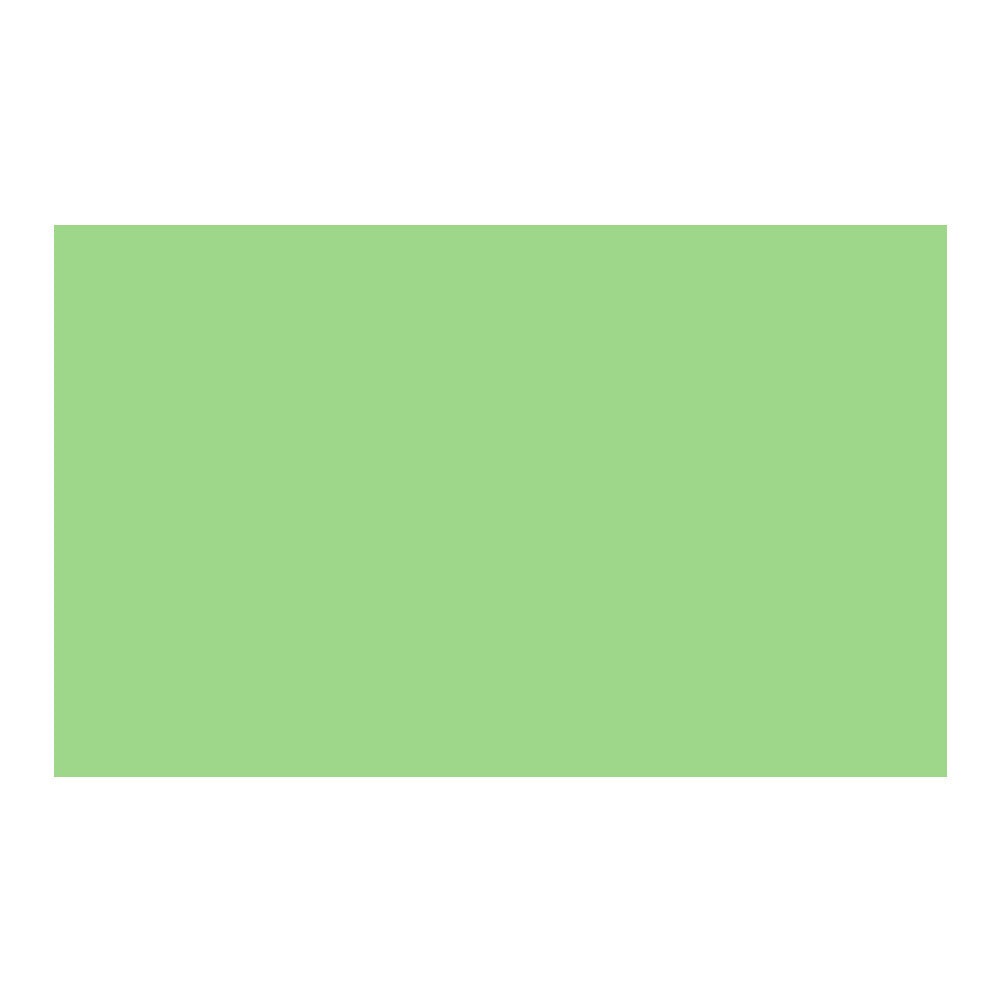 Savage Widetone Seamless Background Paper (#40 Mint Green, 107-Inch x 36-Feet)