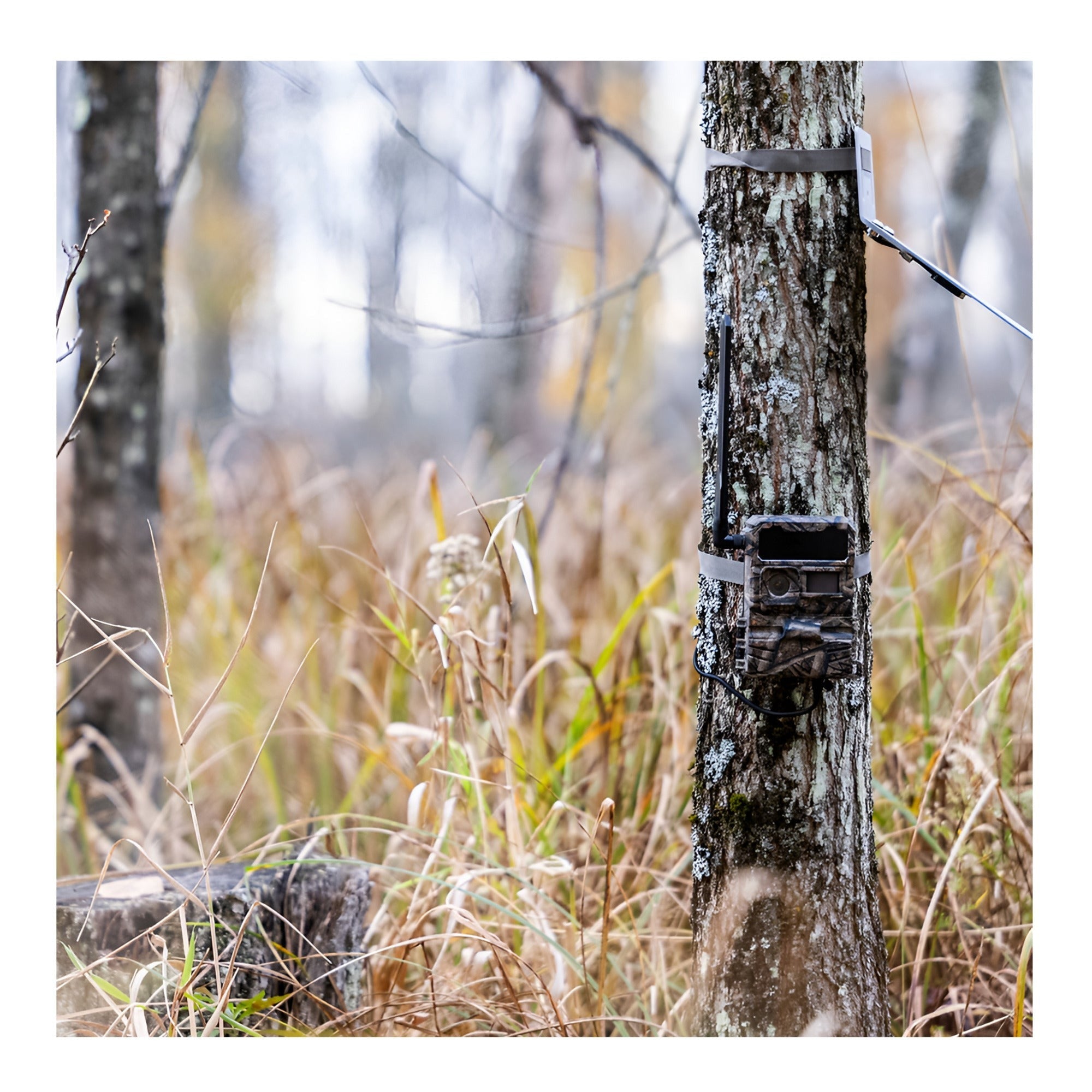 Yellowstone Y2 4G LTE Trail Camera Bundle with 5,000 mAh Battery Pack, Card Reader, and Accessories