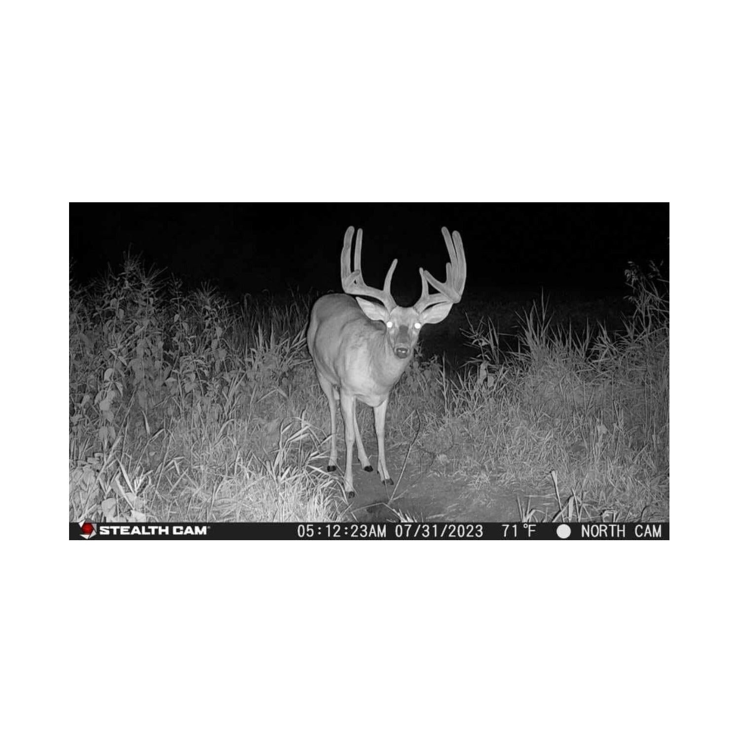 Stealth Cam Fusion X-Pro 36MP 720P Cellular Dual Sim Trail Camera 4-Pack Bundle