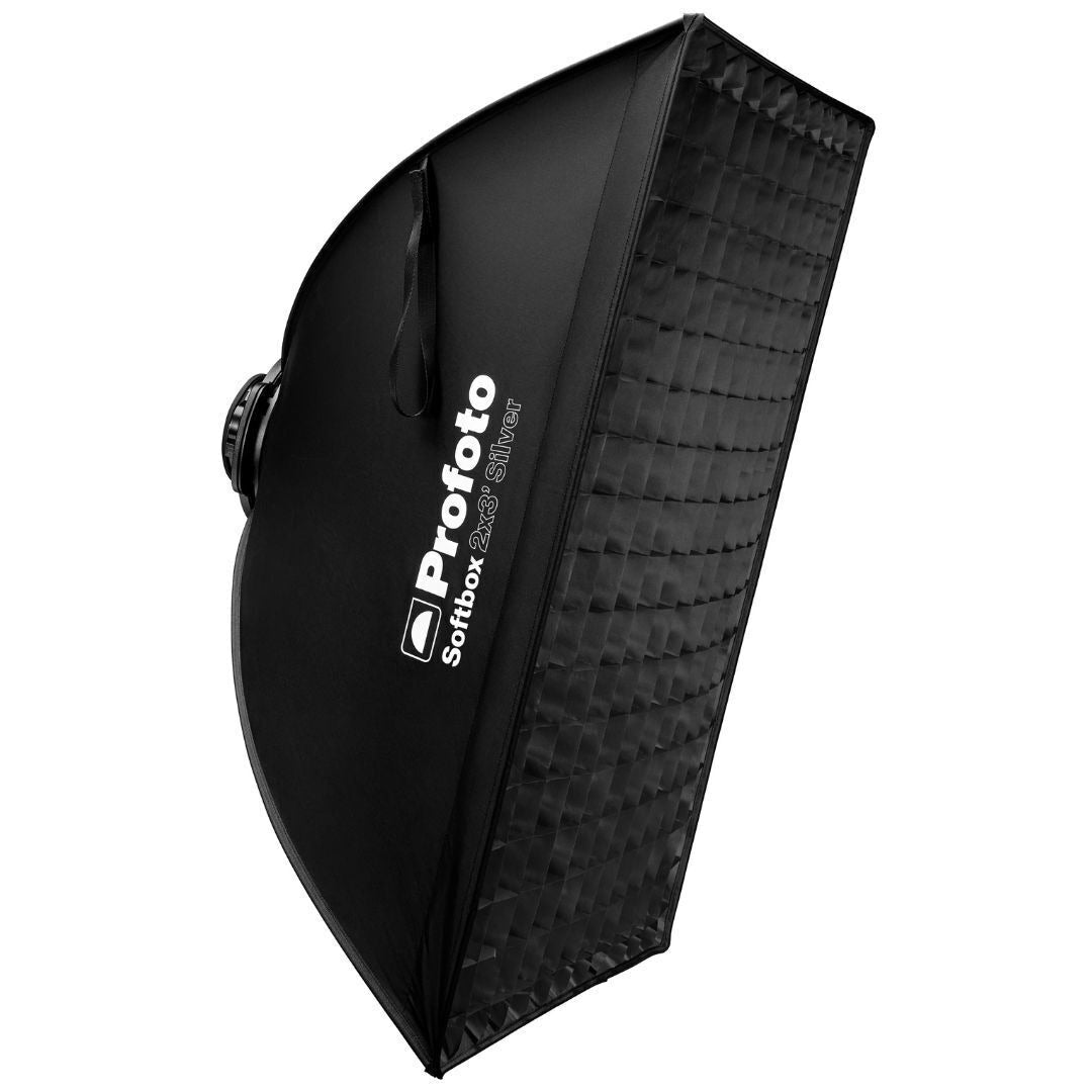 Profoto L600D LED Light 600W with 2x3-Feet Softbox (Silver) and Softgrid Bundle