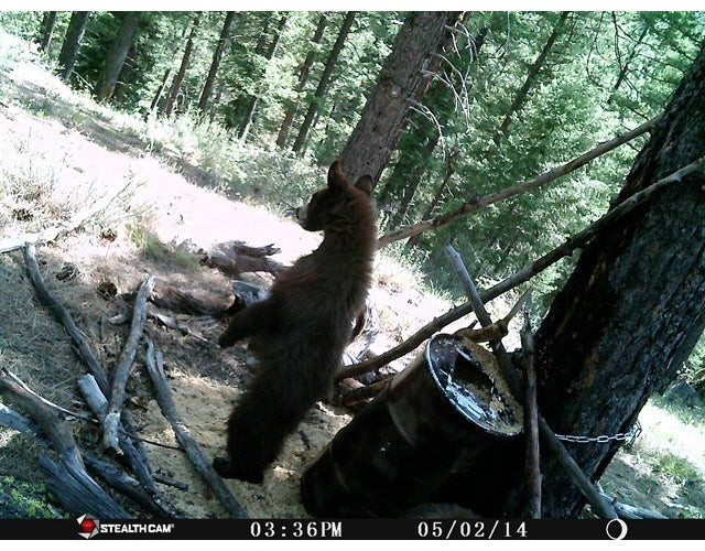 Stealth Cam 10MP Trail Game Camera (2-Pack) with Reader and 32GB Card Bundle