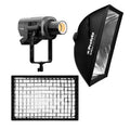 Profoto L600D LED Light 600W with 2x3-Feet Softbox (Silver) and Softgrid Bundle