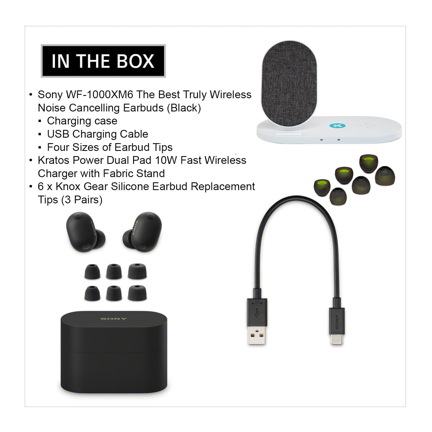Sony WF-1000XM6 Wireless Earbuds (Black) with Accessories Bundle