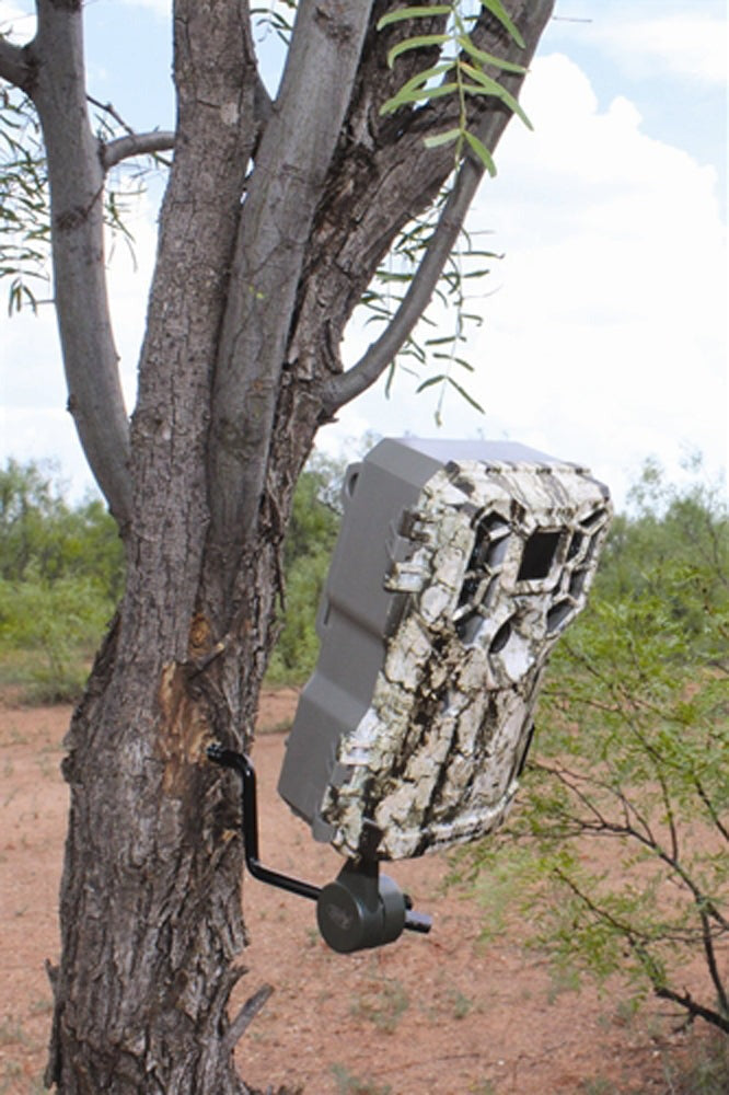 Stealth Cam 10MP Trail Game Camera (2-Pack) with Reader and 32GB Card Bundle