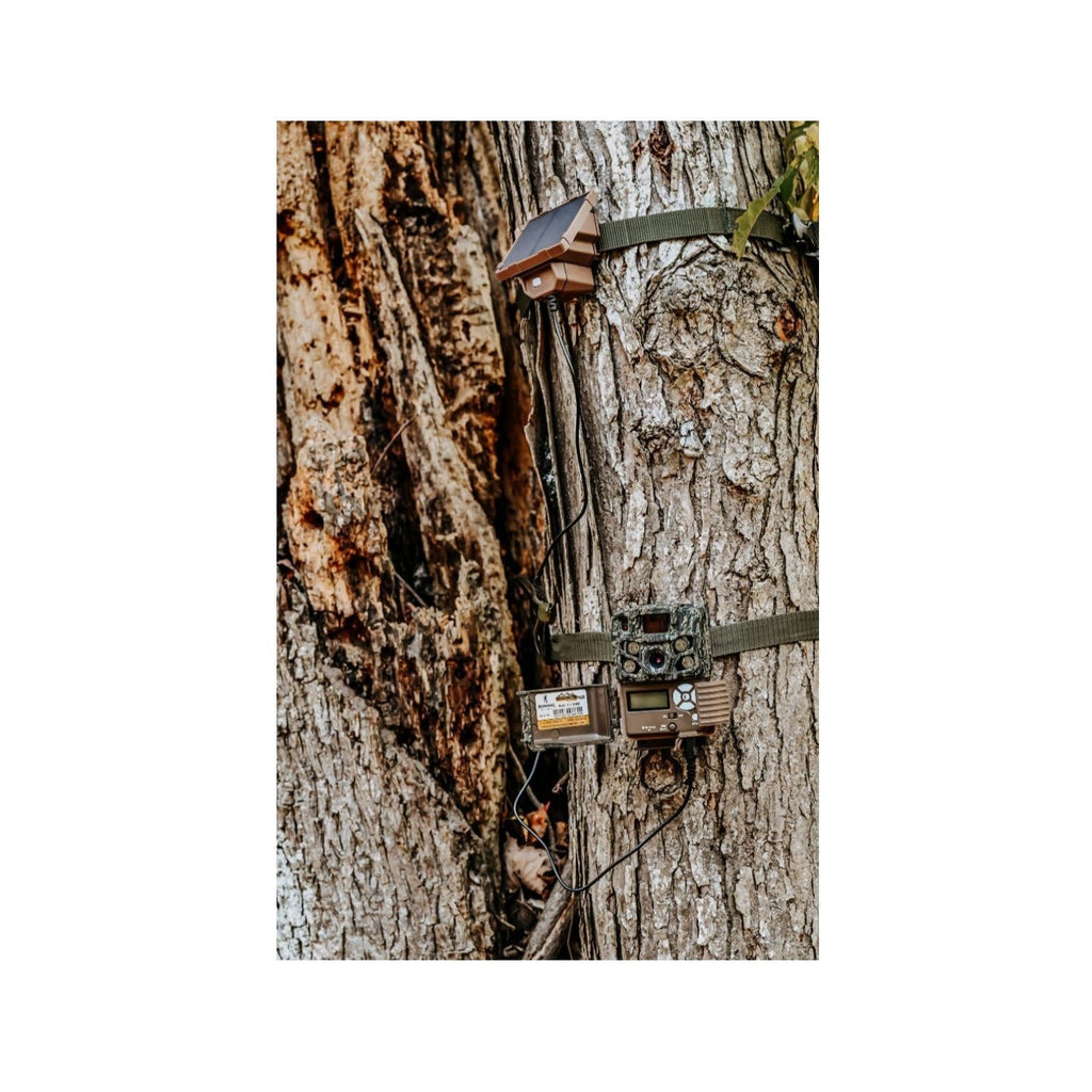 Browning Trail Cameras Universal Solar Camera Power Pack (6-Pack) with Card Reader Bundle