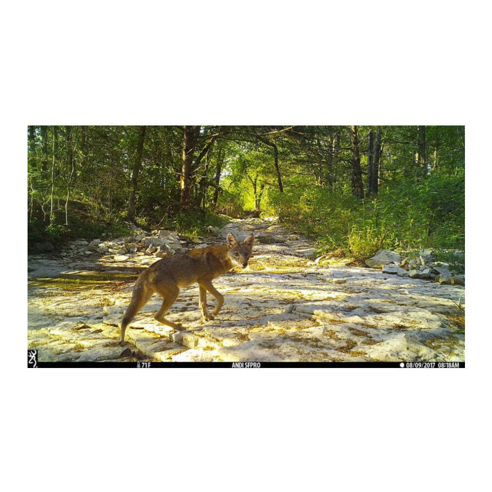Browning Trail Cameras Dark Ops Pro X 1080 Motion-Activated Camera Bundle