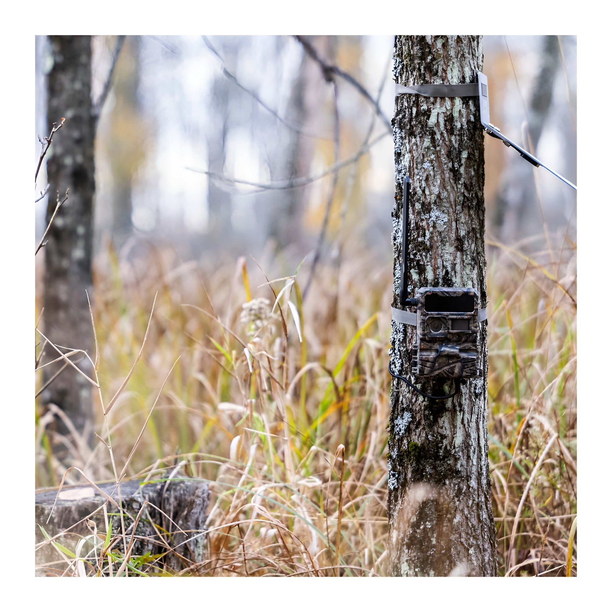 Yellowstone Y2 Cellular Trail Camera Bundle with High-Speed Card Reader, and Accessories (6-Pack)