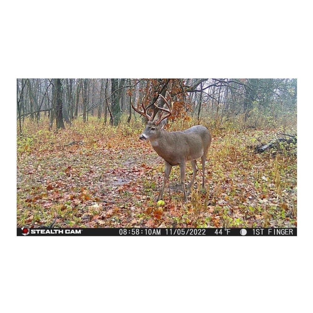 Stealth Cam Fusion X-Pro 36MP 720P Cellular Dual Sim Trail Camera