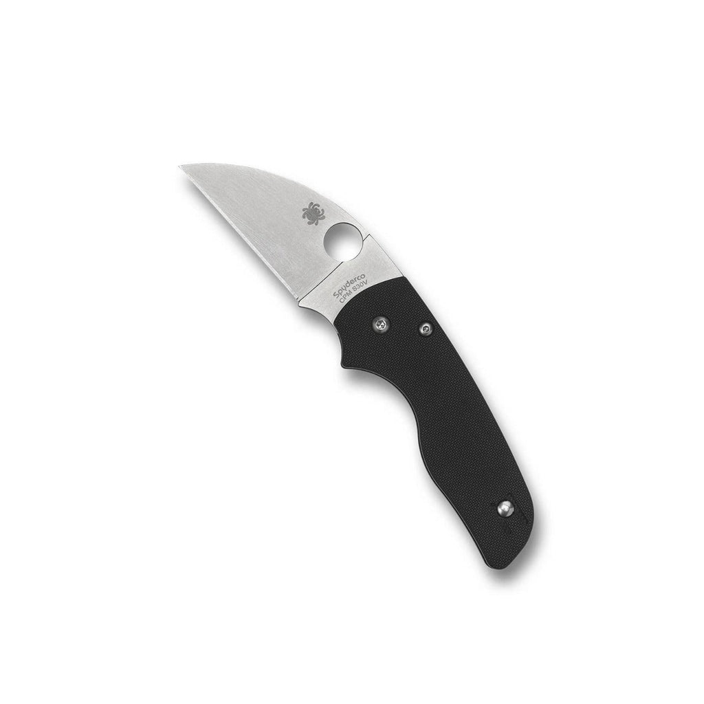 Spyderco Lil' Native Wharncliffe Folding Knife with CPM S30V Steel and G-10 Scales