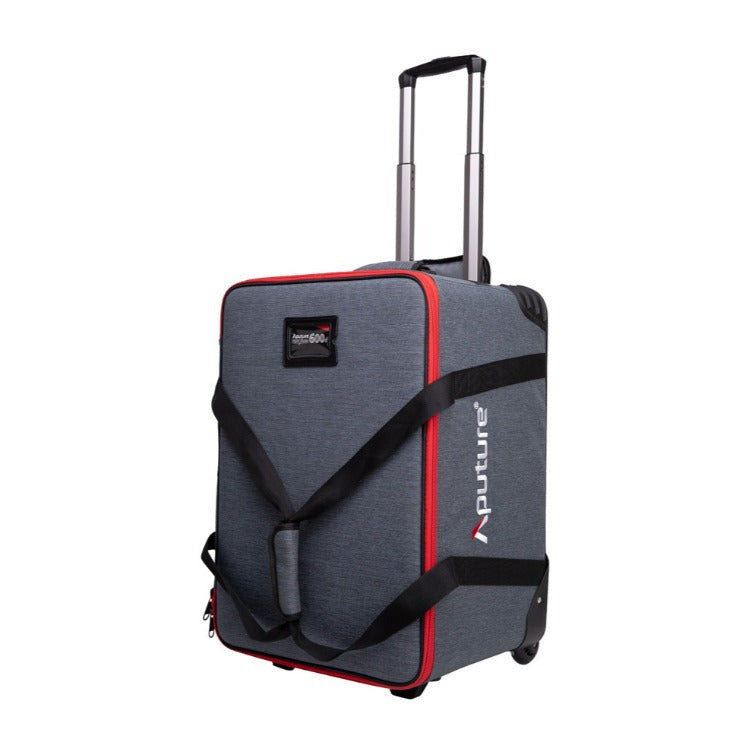 Aputure LS 600d Daylight LED Monolight (V-Mount) with C-Stand, F10 Barndoors, Light Dome III