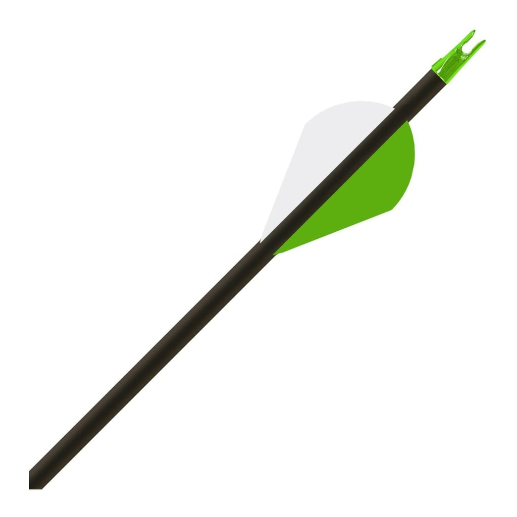 Gold Tip Hunter XT Arrows 340 with 2-Inch Raptor Vane (Pack of 6)
