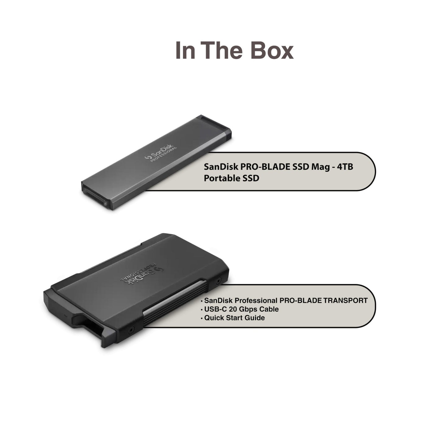 Sandisk Professional 4 TB Pro-Blade SSD MAG NvME with Pro-Blade Transport (0 TB)