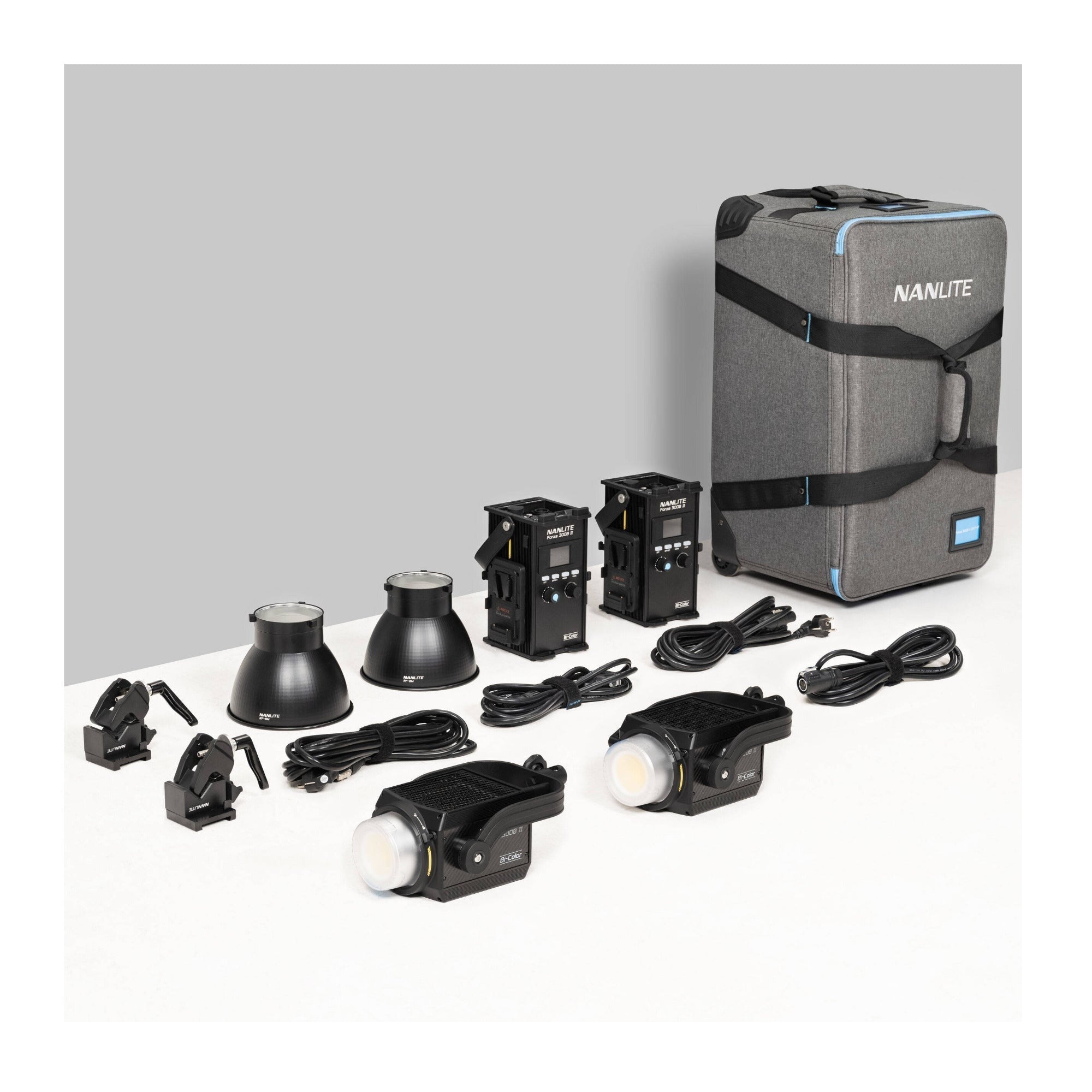 Nanlite Forza 300B II Bi-Color LED Monolight (Travel 2-Light Kit)