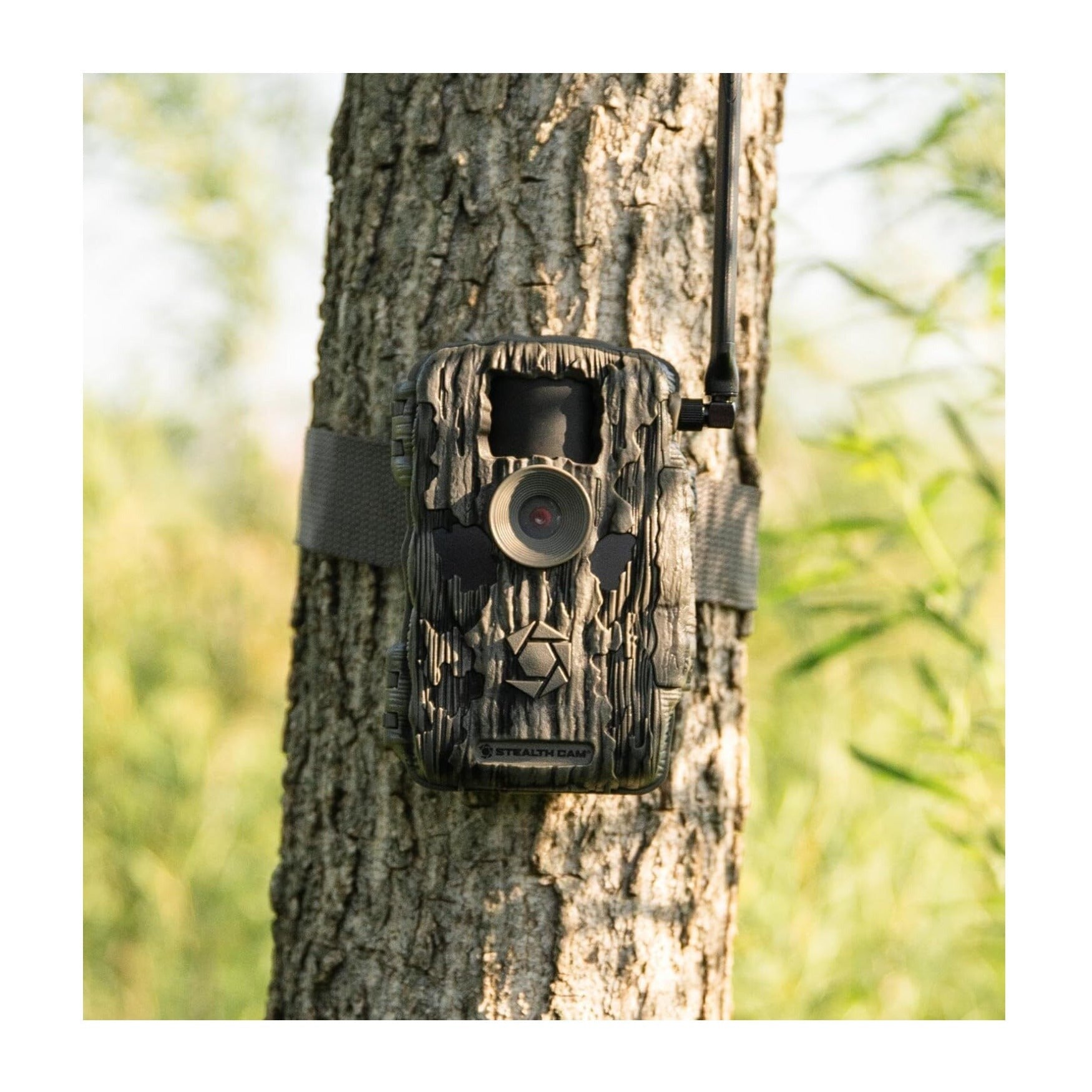 Stealth Cam Fusion X-Pro 36MP 720P Cellular Dual Sim Trail Camera Bundle