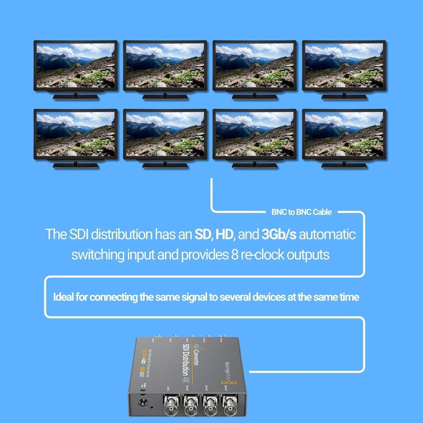 Blackmagic Design Mini Converter SDI Distribution with SDI Video Cable (BNC to BNC) Bundle