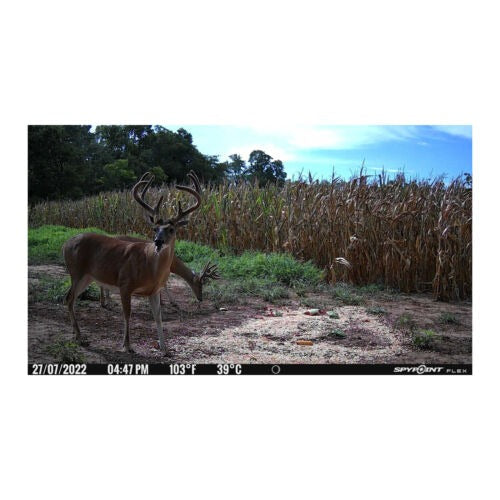 Spypoint FLEX Cellular 33MP, 1080P, Dual-sim Configuration Trail Camera (Gray)