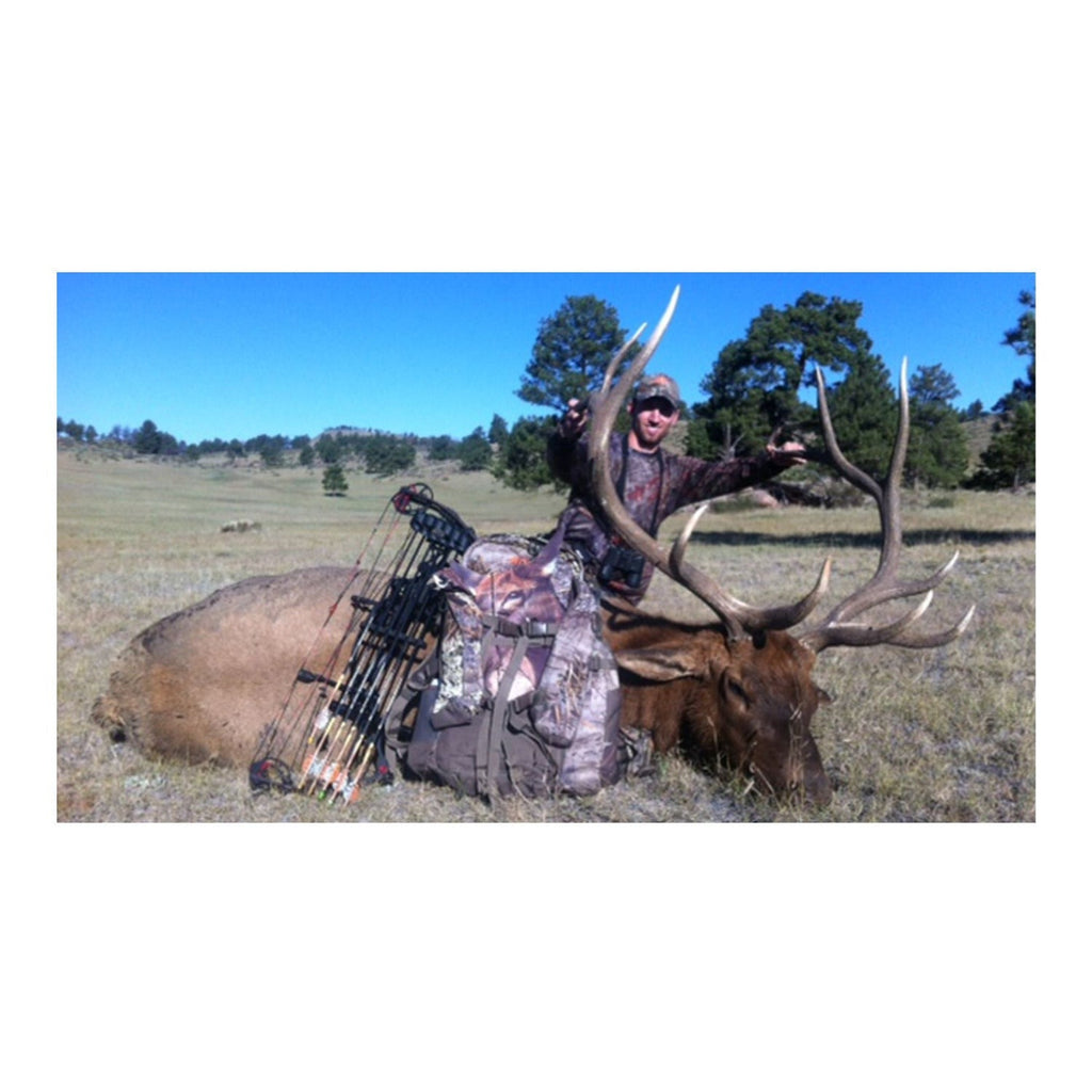 Montana Miss September Feeding Elk Decoy - Realistic Pose for All-Season Hunting