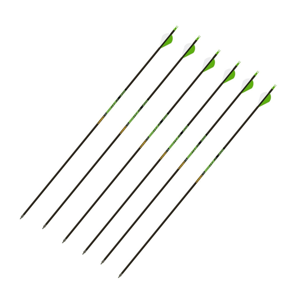 Gold Tip Hunter XT Arrows 340 with 2-Inch Raptor Vane (Pack of 6)