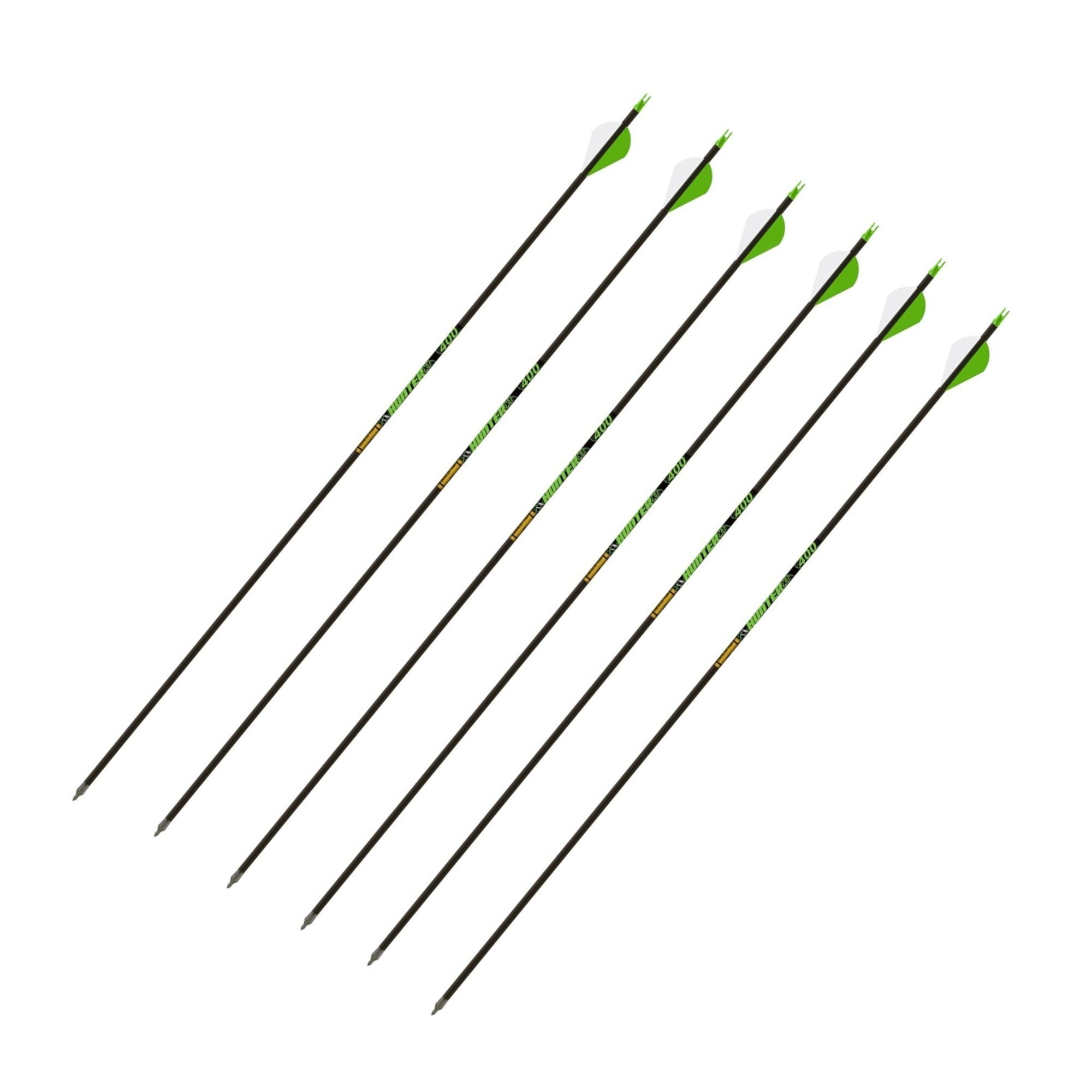 Gold Tip Hunter XT Arrows 340 with 2-Inch Raptor Vane (Pack of 6)