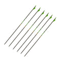 Gold Tip Hunter XT Arrows 340 with 2-Inch Raptor Vane (Pack of 6)