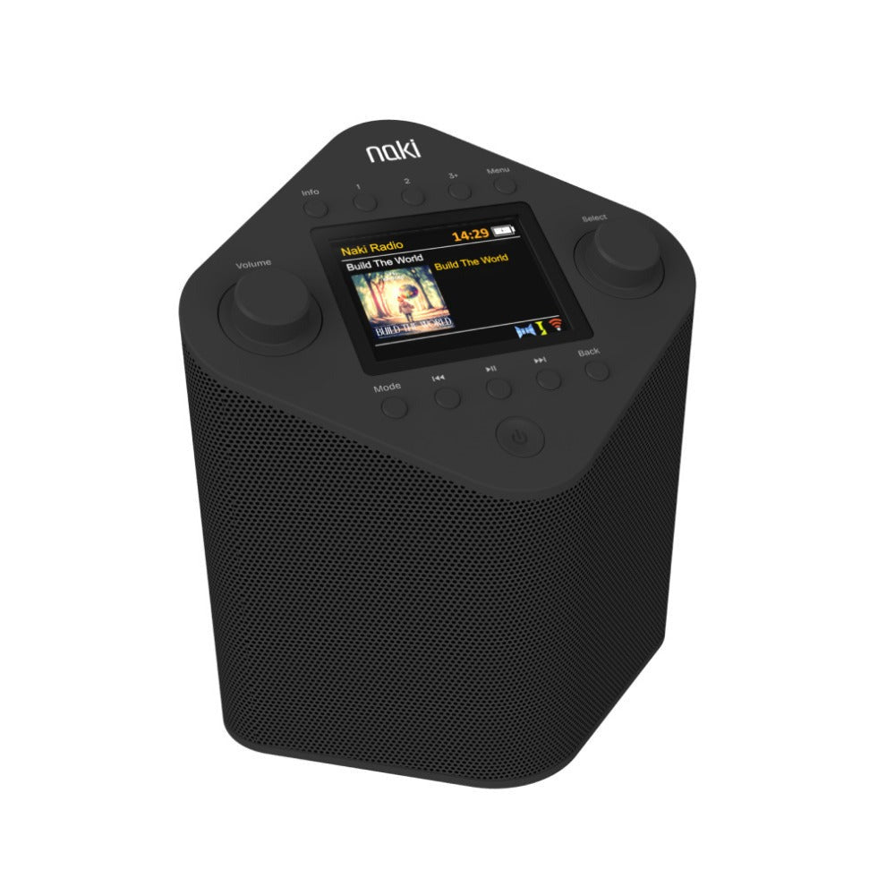 Naki Pulse - Online Streaming Kosher Music Player (Black) with Single 5W Speaker