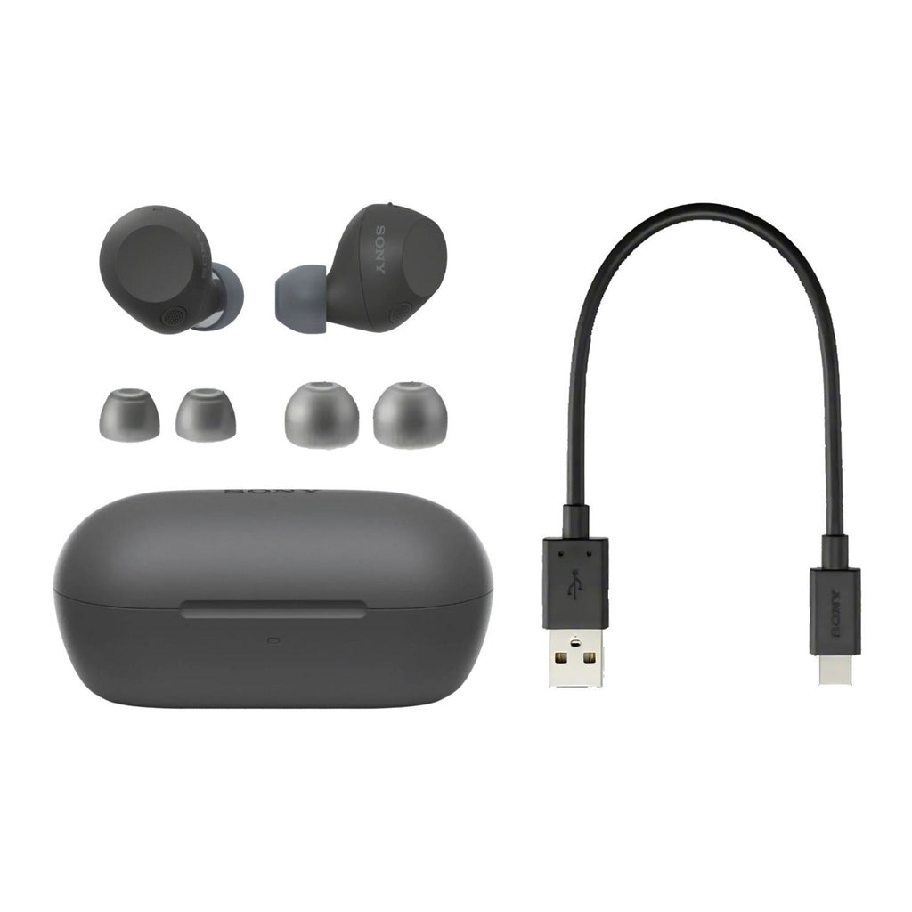 Sony Truly Wireless Noise-Canceling Earbuds (Black) Bundle with Case