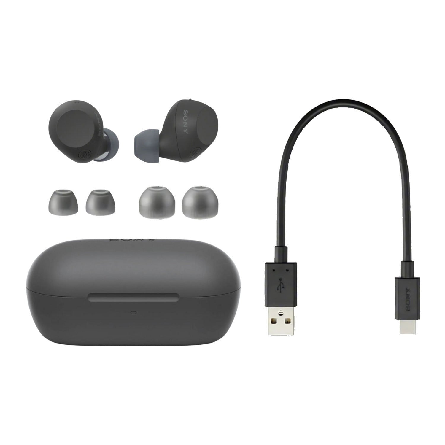 Sony Truly Wireless Noise-Canceling Earbuds (Black) Bundle with Case