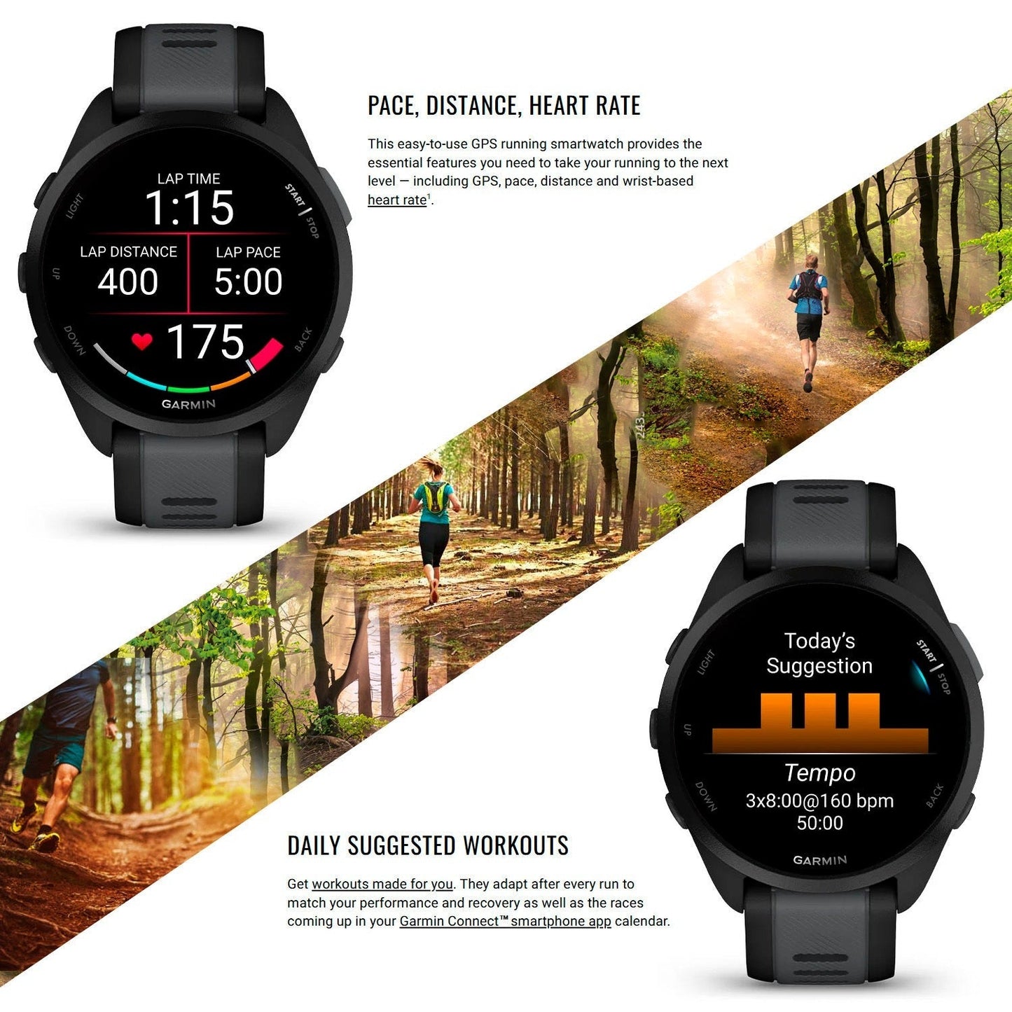 Garmin Forerunner 165 Music GPS Running Smartwatch (Berry-Lilac) with Charger Stand and Cable Bundle