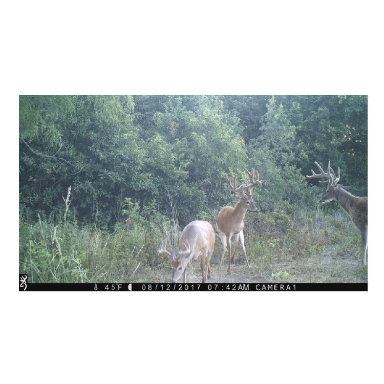 Browning Trail Cameras Strike Force Extreme 16MP Game Camera (4-Pack) Bundle