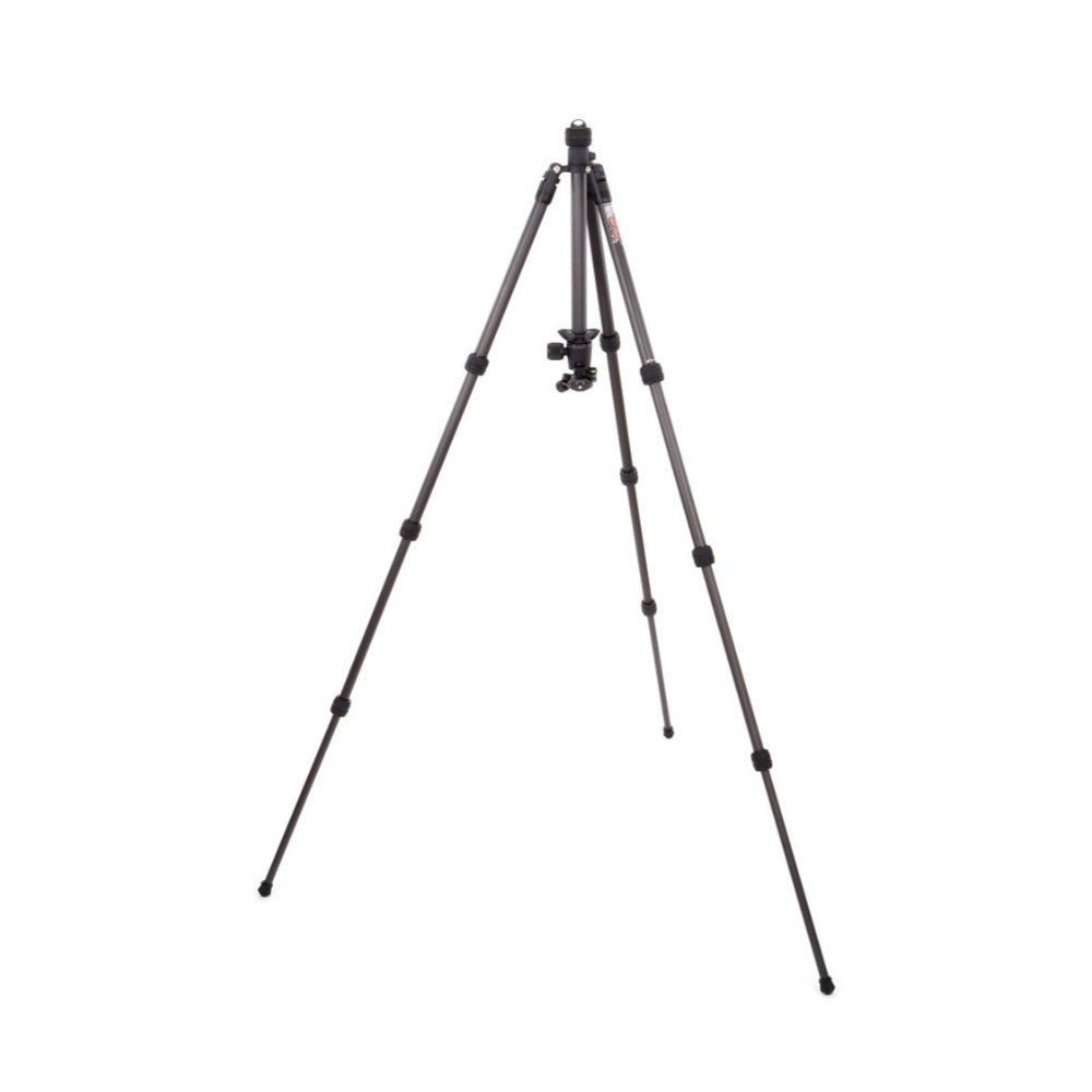 3 Legged Thing Punks Billy 2.0 Carbon Fiber Travel-Friendly Tripod Kit (Black)