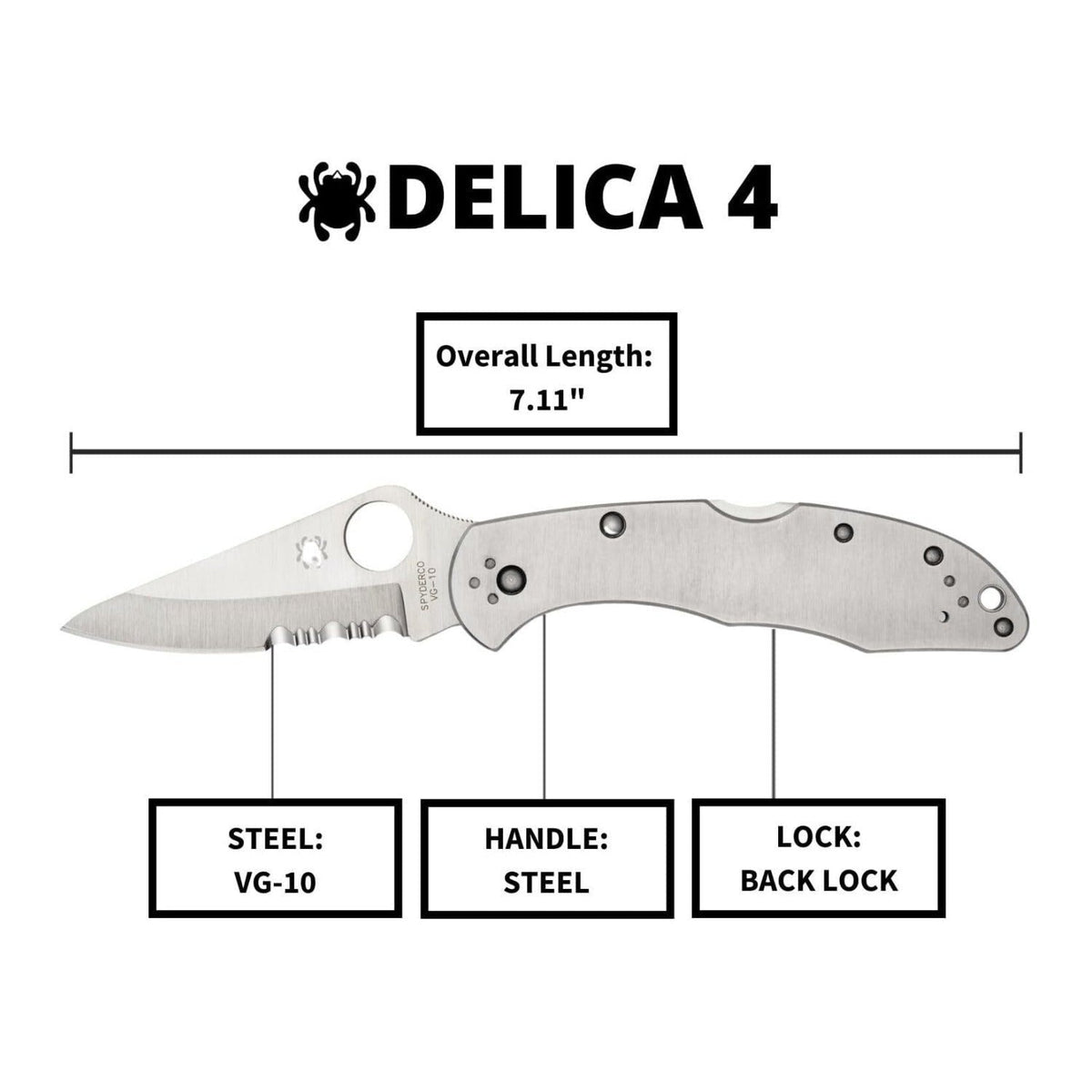 Spyderco Delica 4 Signature Knife with 2.95 Inch VG-10 Steel Blade and Stainless Steel Handle