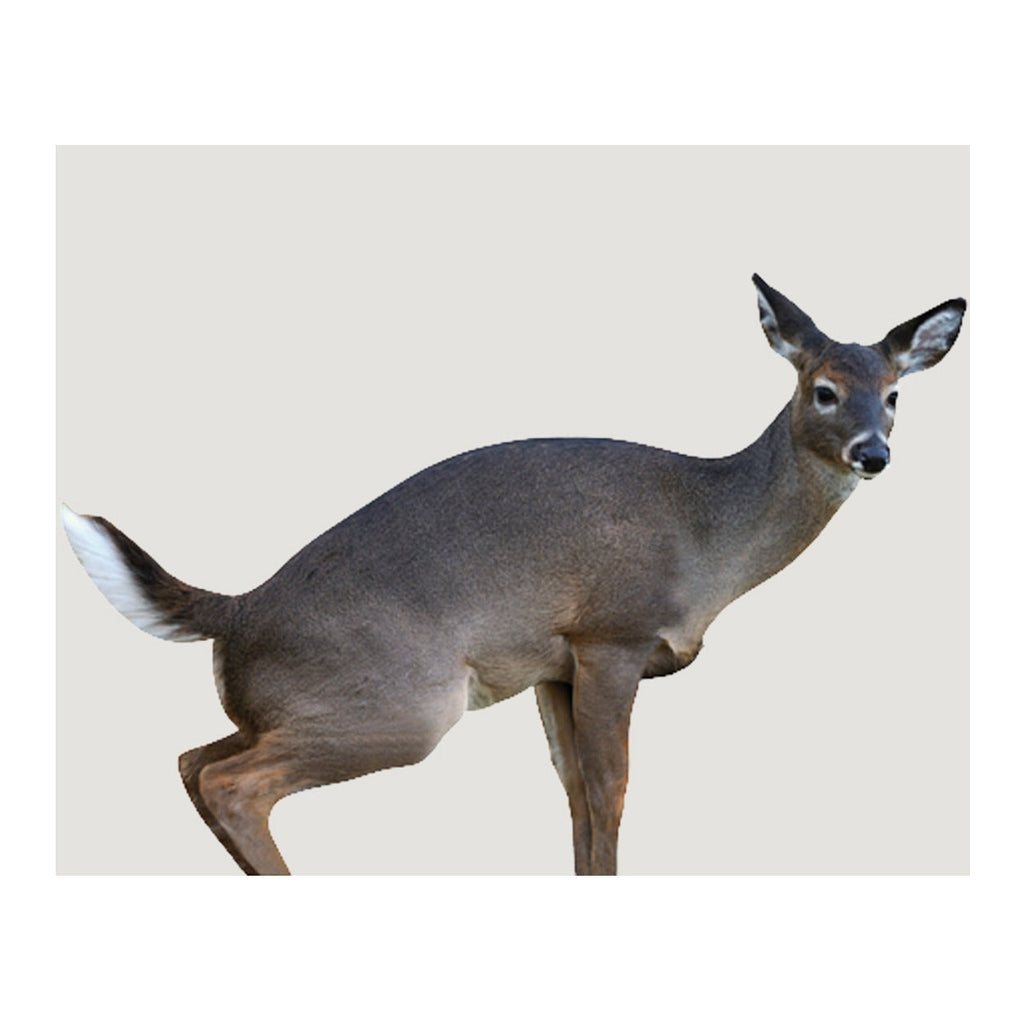 Montana Decoy Estrus Betty Whitetail Deer Decoy (Peeing Doe) for Bow Hunting