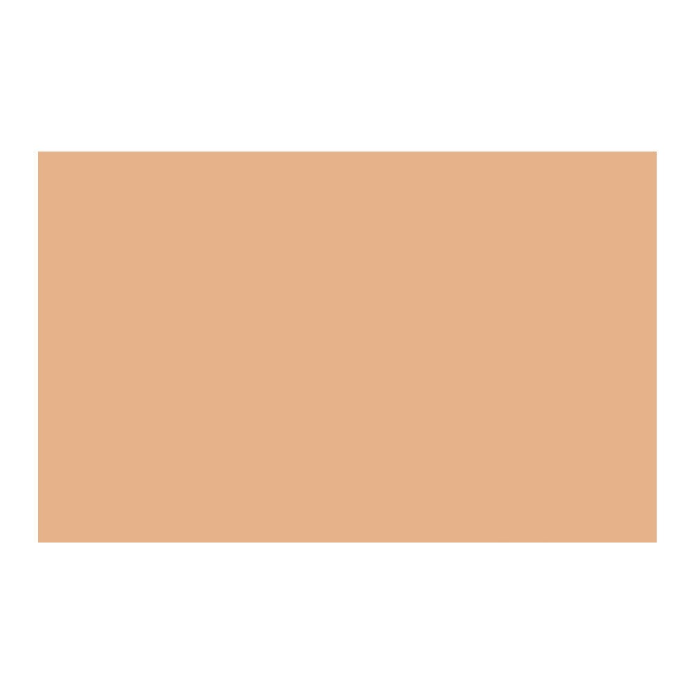 Savage Widetone Seamless Background Paper (#79 Almond, 107-Inch x 36-Feet)