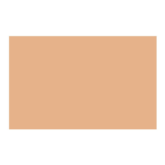 Savage Widetone Seamless Background Paper (#79 Almond, 107-Inch x 36-Feet)