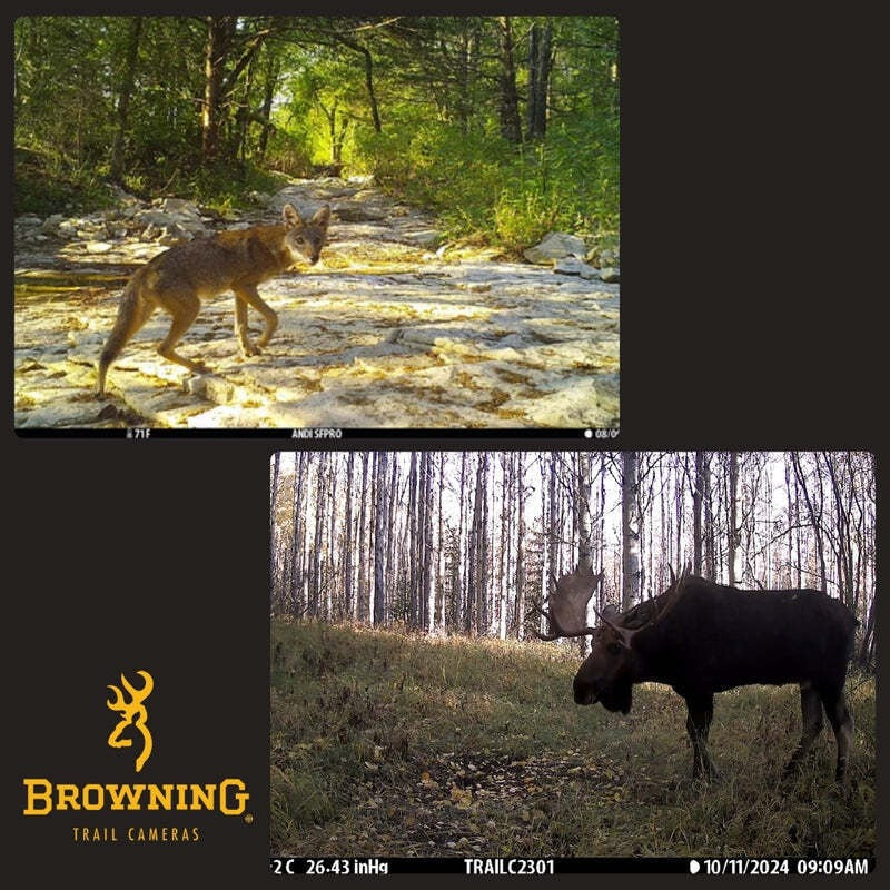 Browning Dark Ops Pro X 1080 Trail Camera (2-Pack) with Accessories Bundle