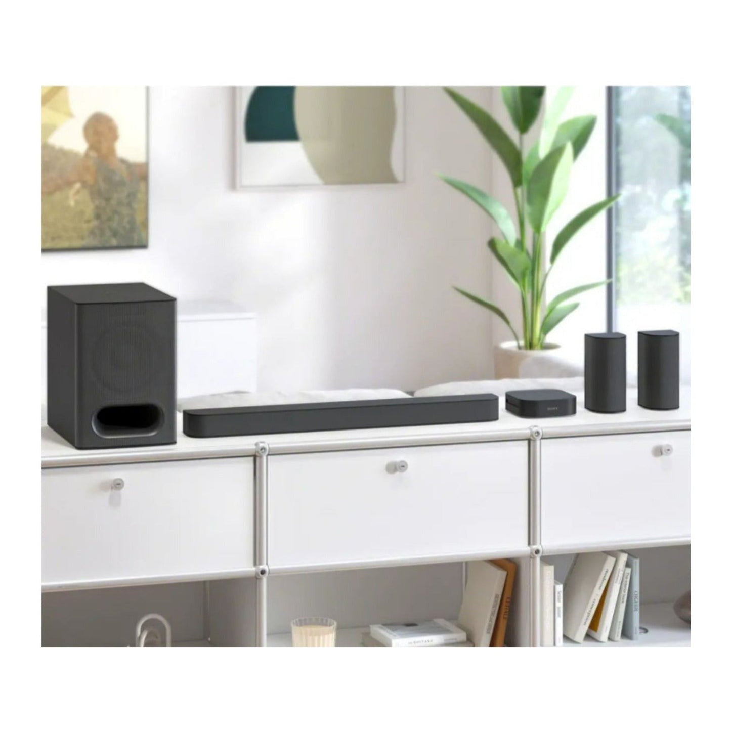 Sony BRAVIA Theater System 6 Bundle with Subwoofer Isolation Feet and Cable Ties