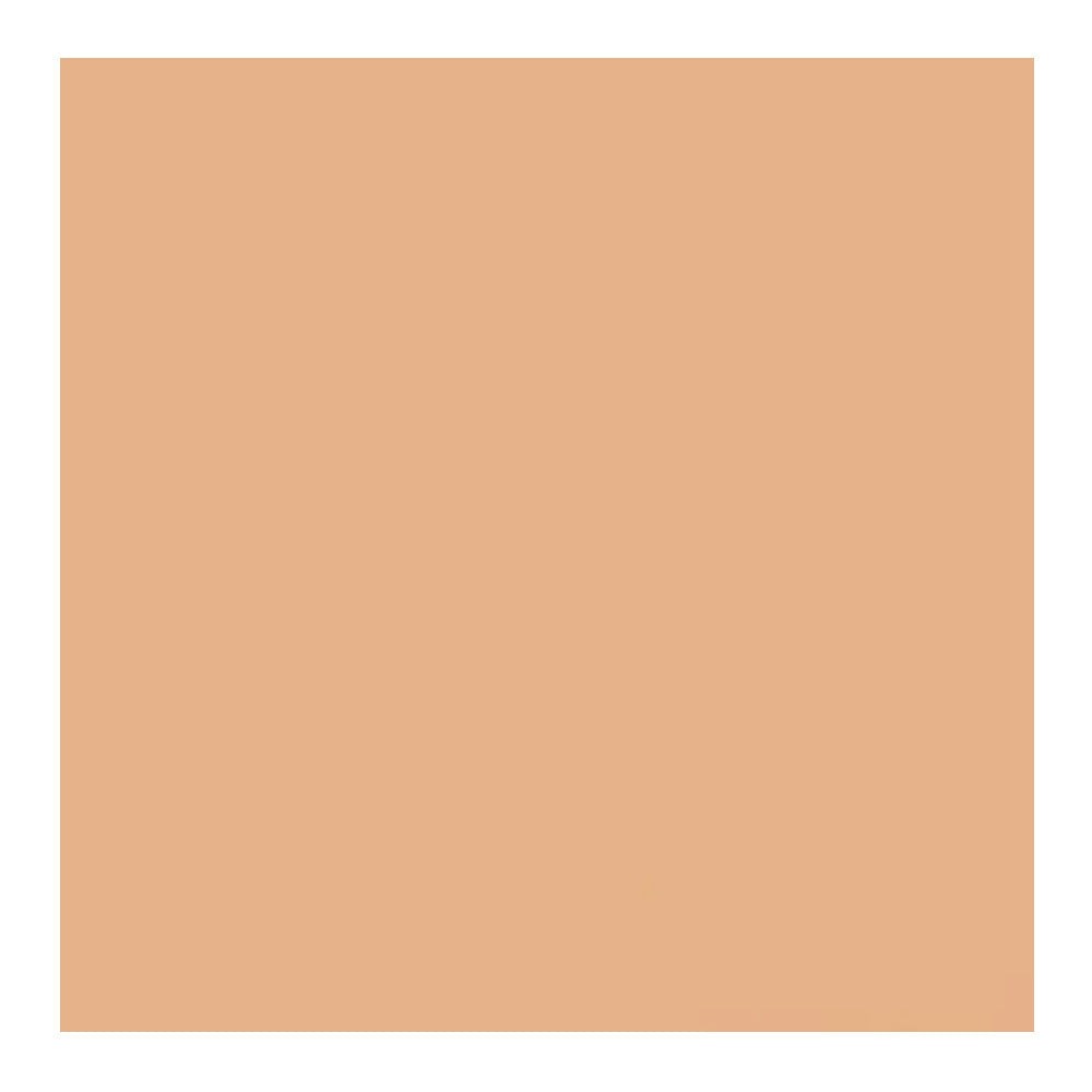 Savage Widetone Seamless Background Paper (#79 Almond, 86-Inch x 36-Feet)