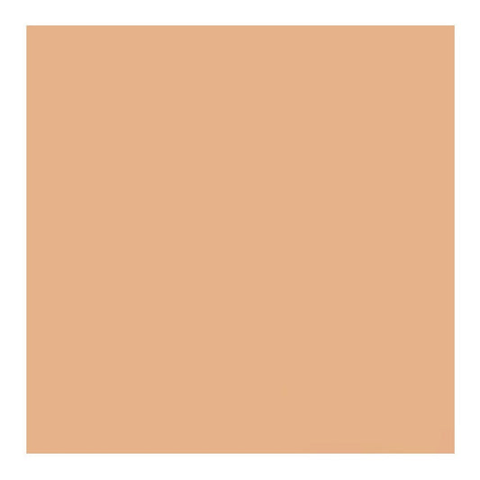 Savage Widetone Seamless Background Paper (#79 Almond, 86-Inch x 36-Feet)