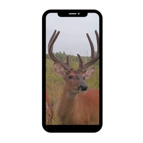Browning Trail Cameras Defender Wireless 20MP Networked Game Cam, AT&T Cellular