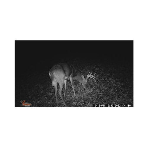 Wildgame Innovations Terra Extreme 14MP Camera with SD Card and High-Speed Card Reader