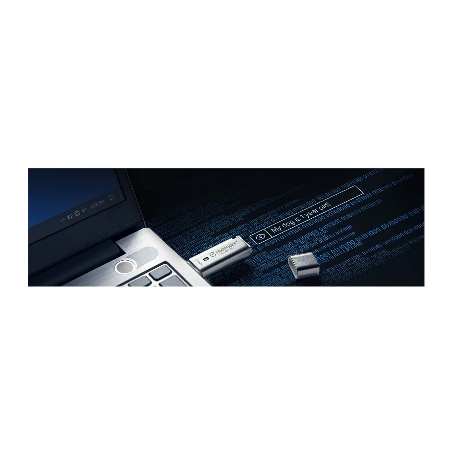 Kingston 128GB IronKey Locker+ 50 USB Type-A Flash Drive