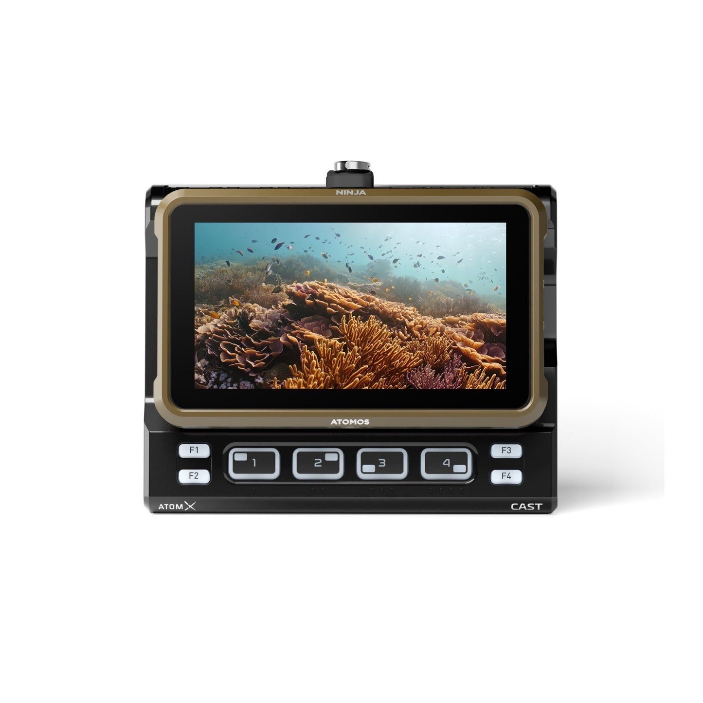 Atomos Ninja 5.2-Inch, 1000nit HDR Monitor-Recorder with Connect and Accessory Kit