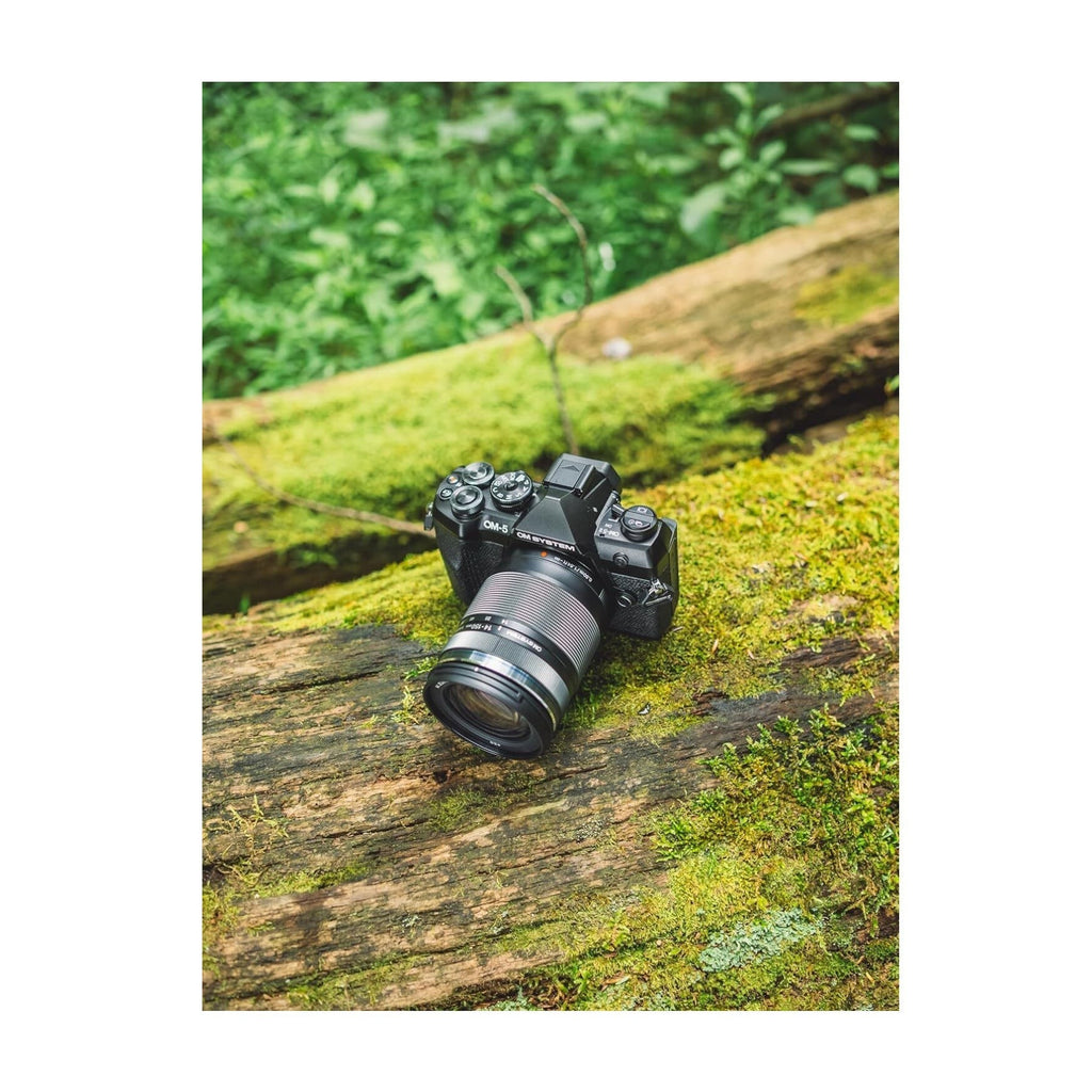 OM SYSTEM OM-5 Mark II Mirrorless Camera with 14-150mm f/4-5.6 II Lens (Black)