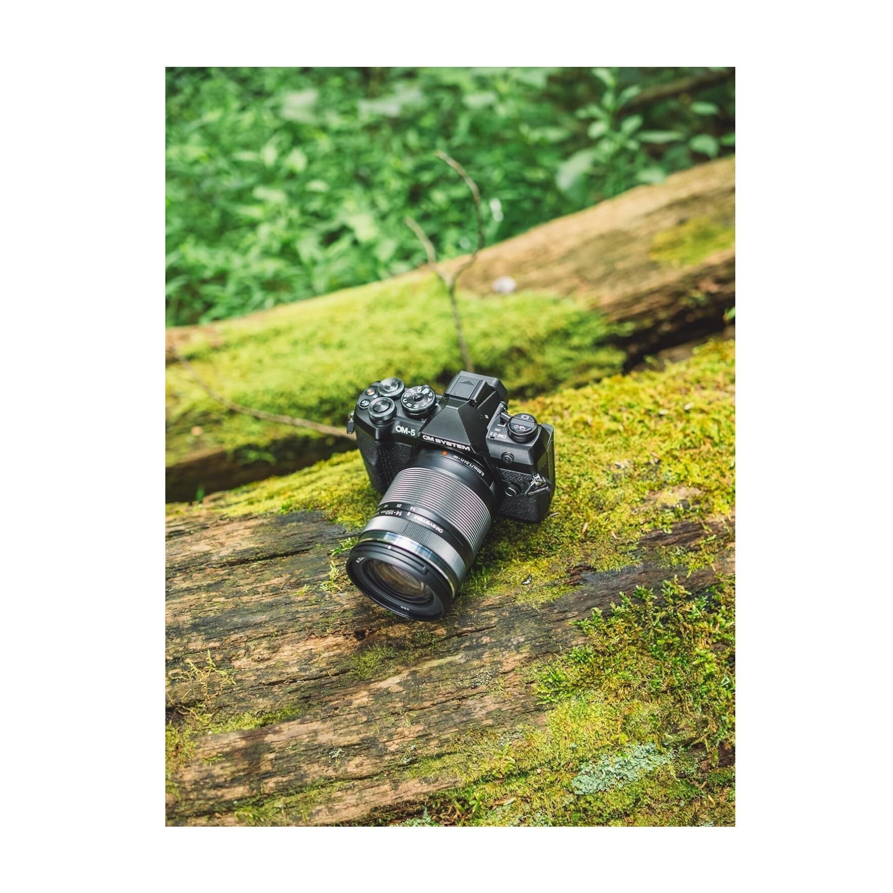 OM SYSTEM OM-5 Mark II Mirrorless Camera with 14-150mm f/4-5.6 II Lens (Black)