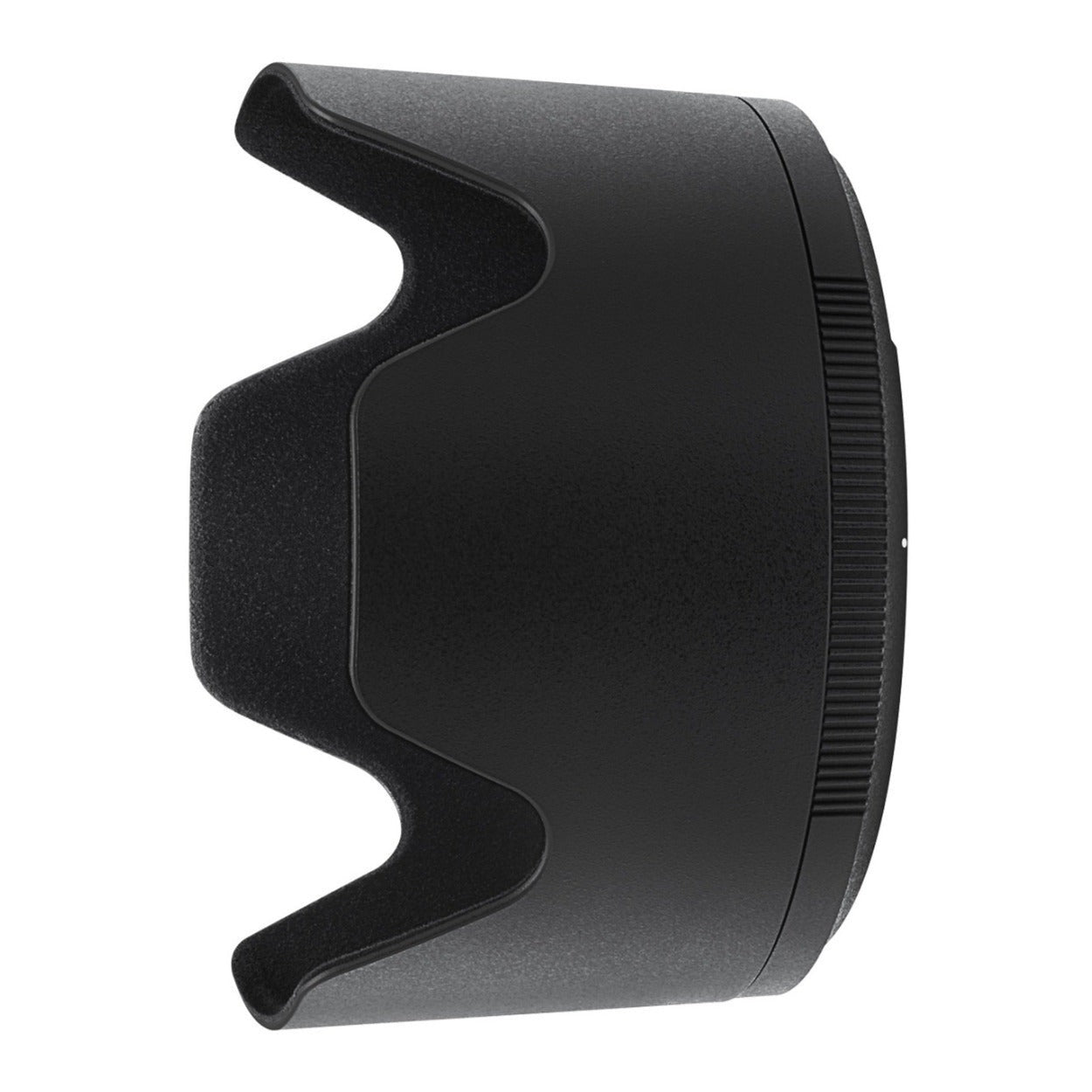 Nikon Z 6II Mirrorless Digital Camera with NIKKOR Z 70-200mm f/2.8 VR S Lens